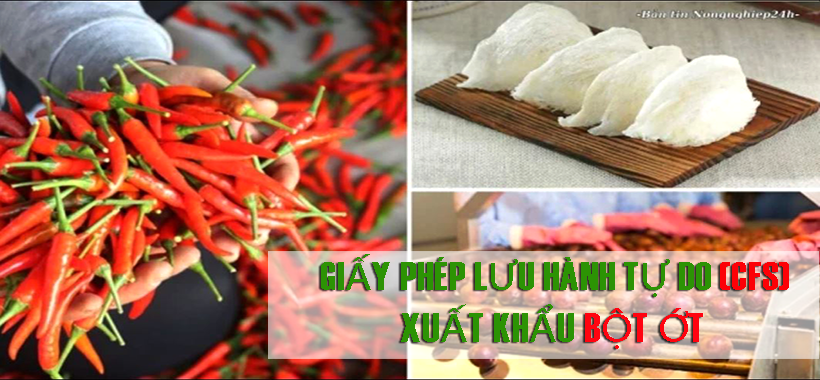 LÀM CÁCH NÀO ĐỂ XIN GIẤY PHÉP LƯU HÀNH TỰ DO (CFS)  XUẤT KHẨU BỘT ỚT RA THỊ TRƯỜNG NGOÀI NƯỚC?