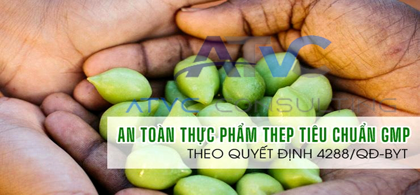 ATTP-Tư vấn tiêu chuẩn Thực hành sản xuất tốt (GMP) cho sản xuất Thực phẩm chức năng