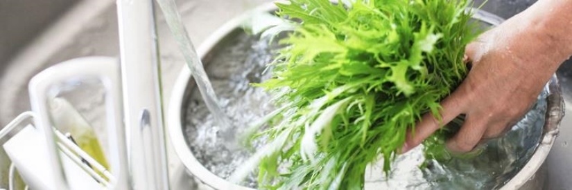 Thực phẩm nào cần làm công bố chất lượng mới được lưu hành