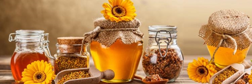Công bố chất lượng sữa ong chúa, thủ tục hồ sơ đăng ký?