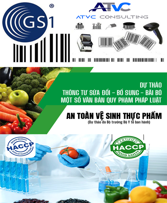DOI TAC 6